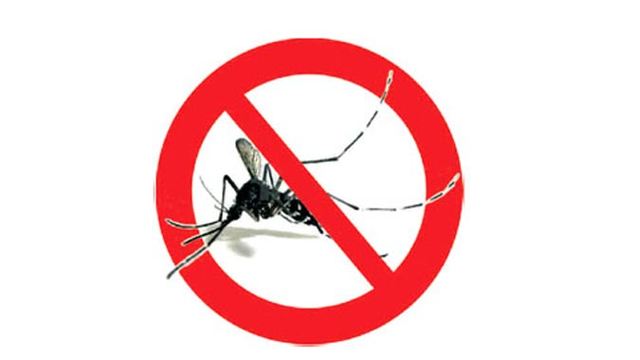 Avviso Servizio Disinfestazione giorno 16 settembre dalle ore 23,00